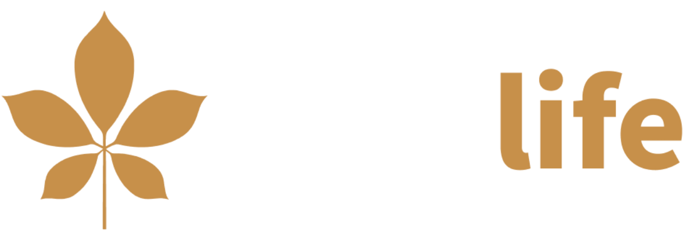 wellife 6 éves dél koreai ginzeng
